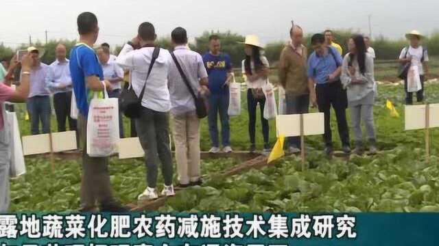 露地蔬菜化肥农药减施技术集成研究与示范现场观摩会在通海召开