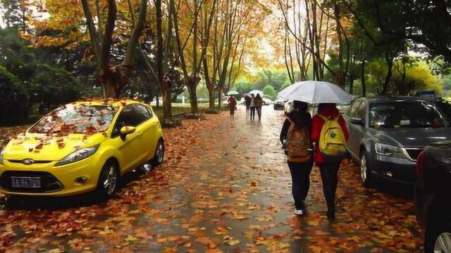 新生入学三大错觉,你眼中的大学生活是怎样的?