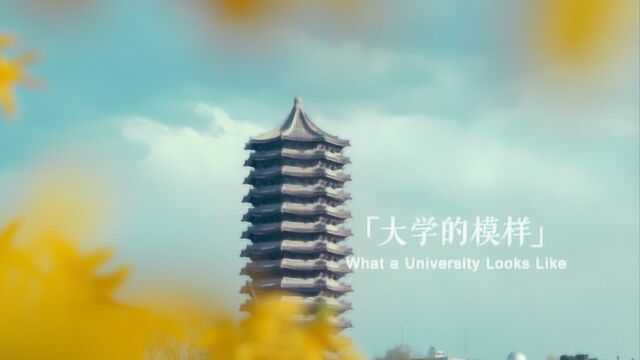 北京大学《北大师说》系列第二季总括篇勾勒出大学的模样