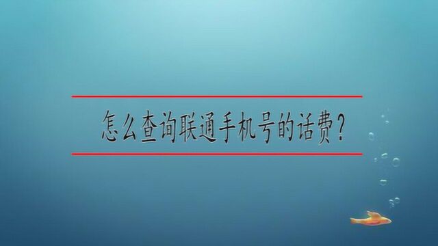 怎么查询联通手机号的话费?