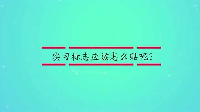 实习标志应该怎么贴呢?