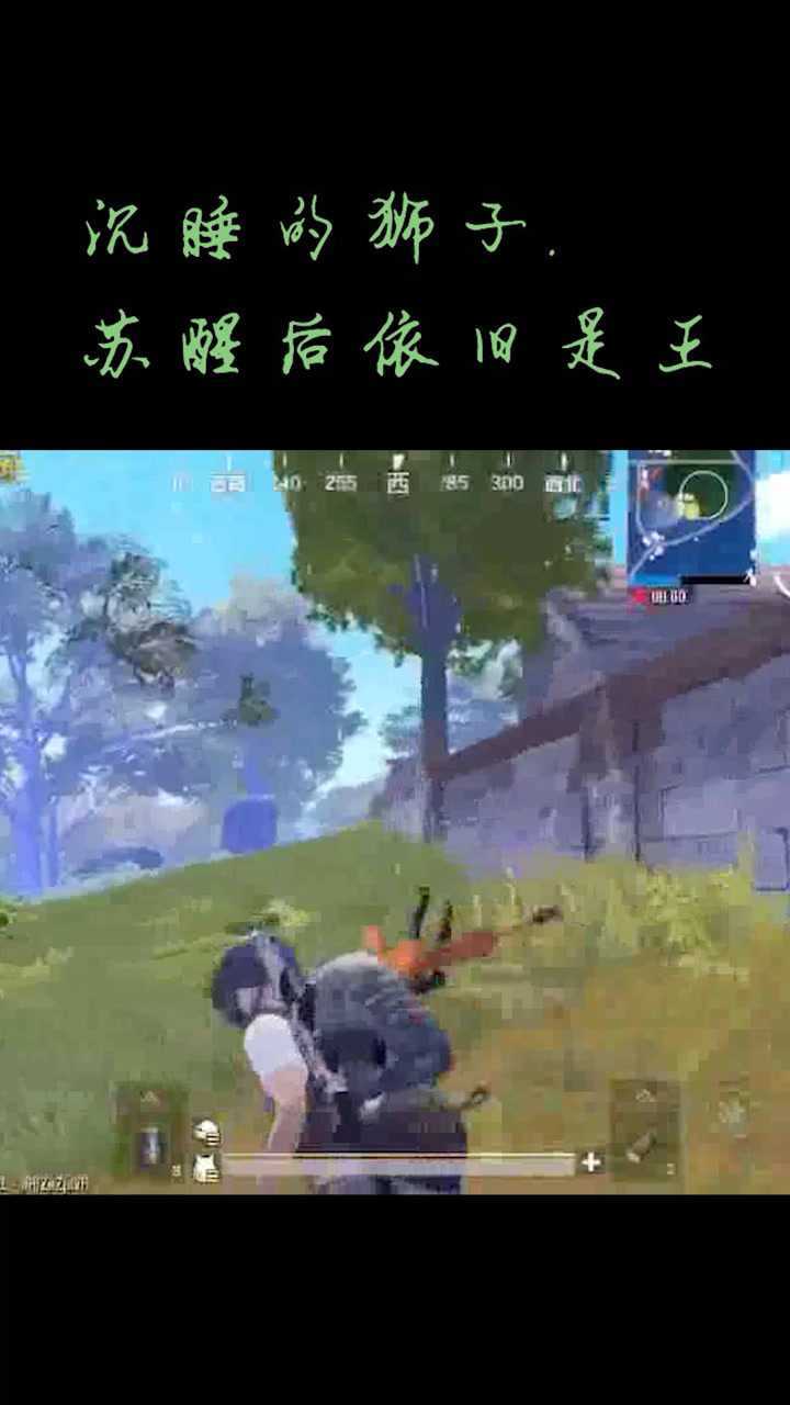 沉睡的狮子苏醒后依旧是王