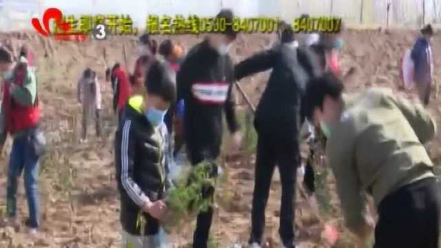 成武植树活动被菏泽电视台播发