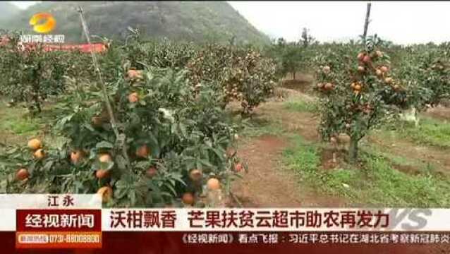 沃柑飘香,芒果扶贫云超市助农再发力