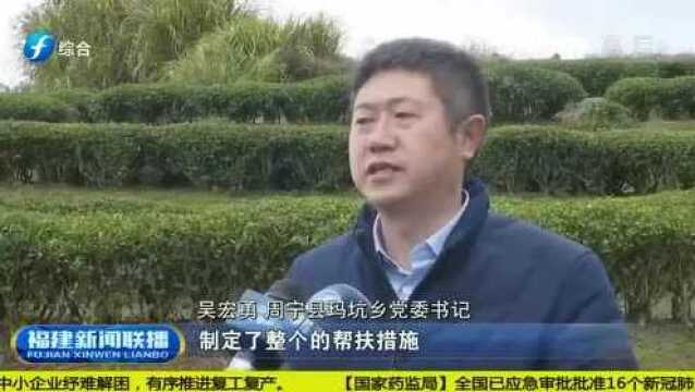 周宁:脱贫之后不返贫,致富希望在眼前