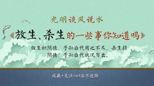 哪天适合放生?什么样天气合适放生?放生忌讳哪些?你应该知道.