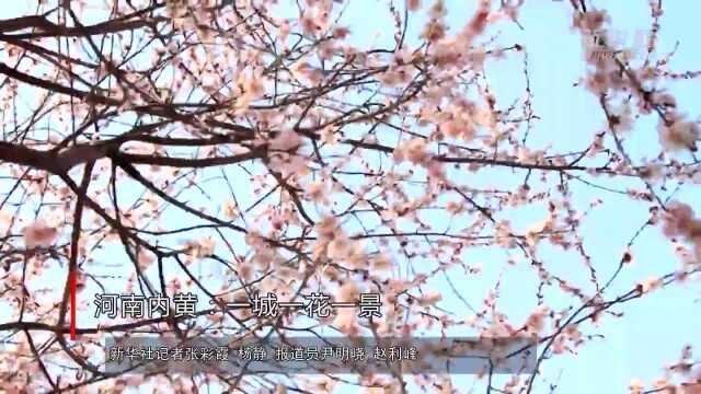 河南内黄:一城一花一景