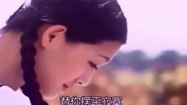 18年前的《流星花园》,那时候的大s就很清纯漂亮!