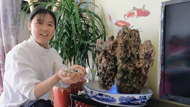 从大深山挖回来的“神奇”风景石,经过特殊加工,这效果真是绝了