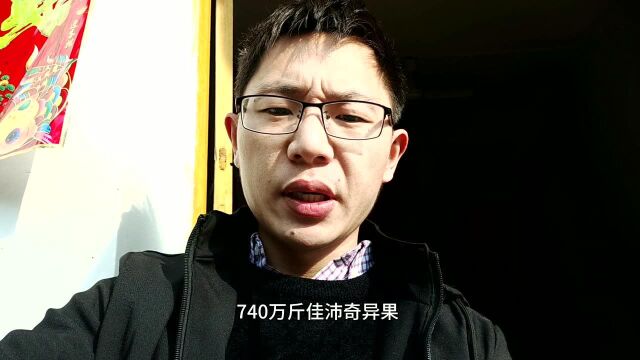 价值3.8亿,新西兰进口奇异果大批到达上海,740万斤猕猴桃价格行看涨