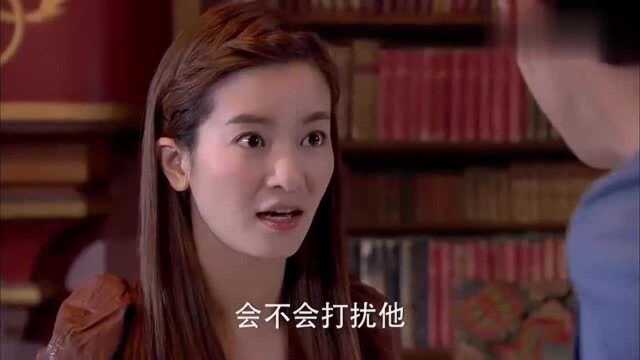 花非花雾非雾:书对齐飞来说是当壁纸,叶凡借了雪花的一本书