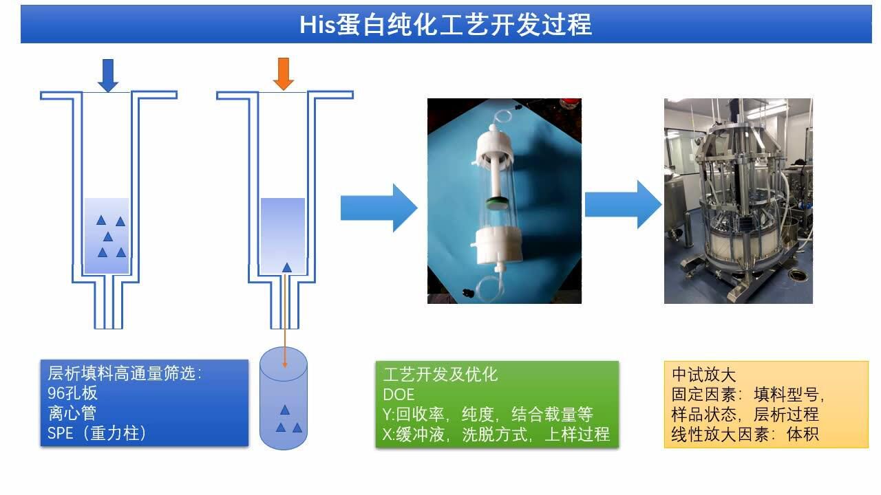 His标签蛋白纯化工艺解决方案 腾讯视频