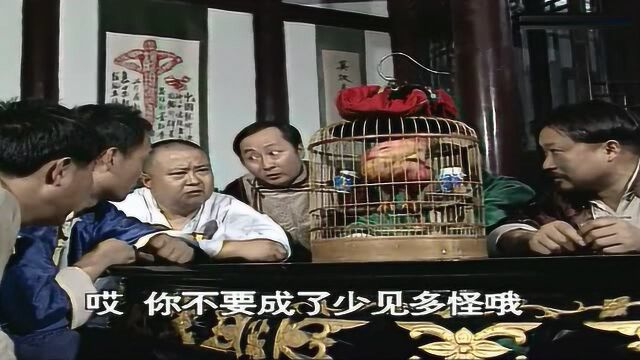 傻儿司令(方言)十一之:袍哥人家讲地理,温江过去就到郫县