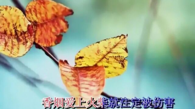 张政这首《香烟爱上火柴》打动了多少少女心,百听不厌