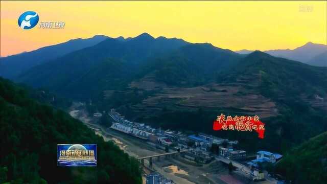 嵩县:产业发展助脱贫