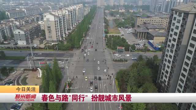 美美美!邳州的道路与春色和您“一路同行”!