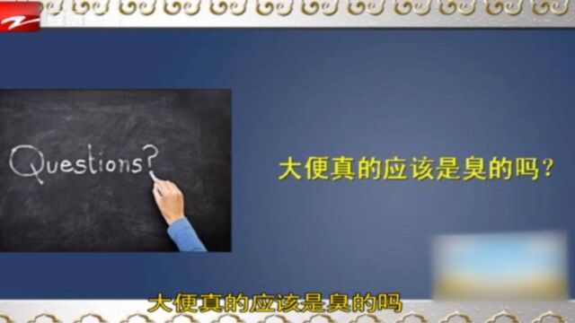 大便的味道应该是臭的吗?是健康的吗?这里告诉你