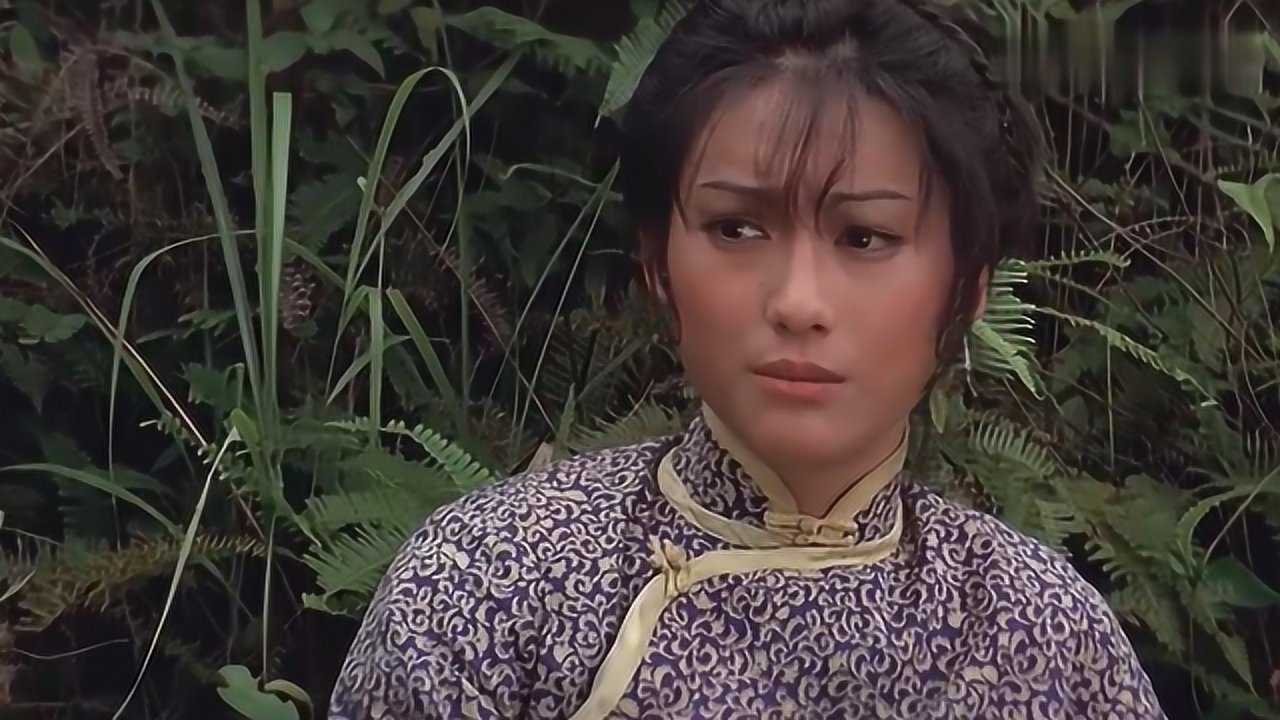 洪文定三破白莲教小青被白莲道长杀害彪嫂和洪文定去投奔亲戚