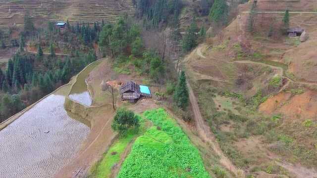 大山里的一个小房子,旁边就是农田菜地,在这生活太方便了