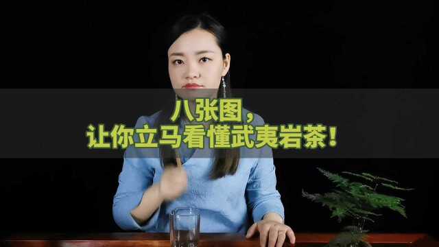 八张图,让你立马看懂武夷岩茶!