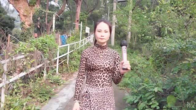 一首情歌《亲爱的我想你了》,美女罗拉献唱歌声好听