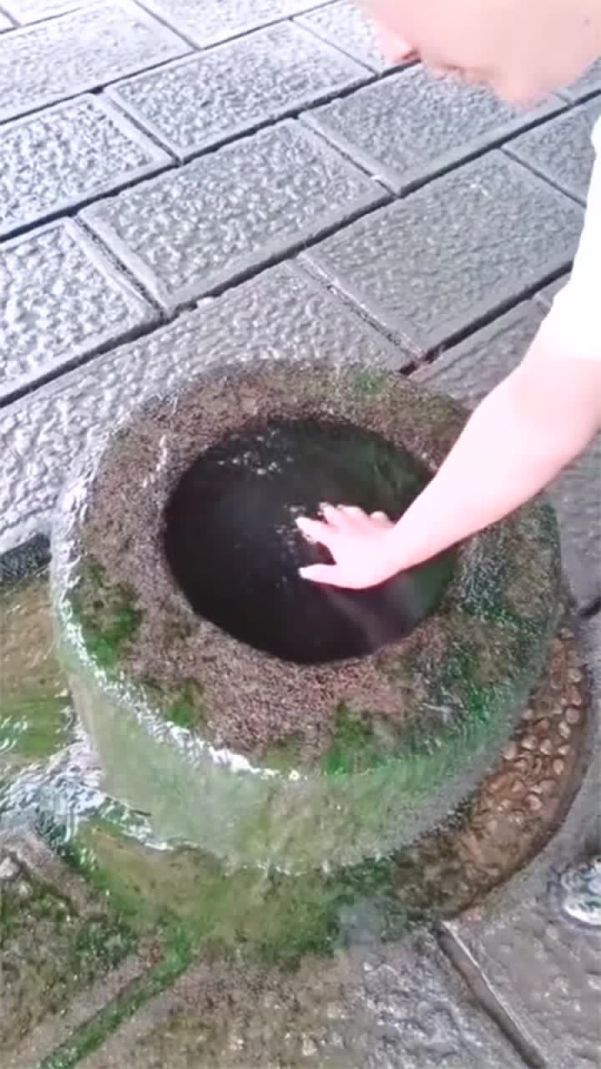 Thumbplayer Poster Plugin Image