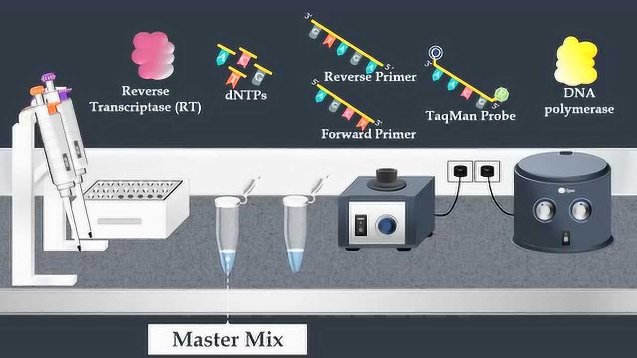 Coronavirus Real Time RT-PCR Test 冠状病毒 实时RT-PCR 检测_高清1080P在线观看平台_腾讯视频