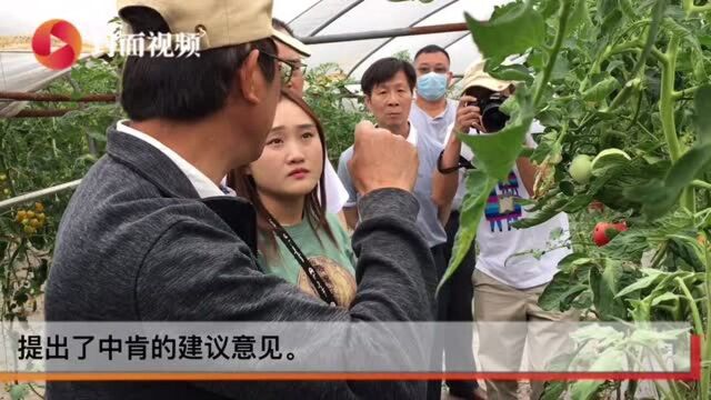 台资农业企业家专家自贡行:建议学音乐的小姐姐做“音乐番茄” 智慧农业是发展方向