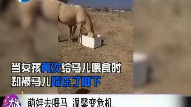 萌娃去喂马,温馨变危机