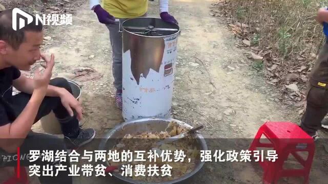 深圳罗湖对口广西西林扶贫,助力当地农户科学养蜂、促进技能培训