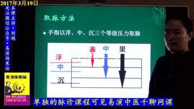 12六经辨证寸口脉定病位及平息脉 易演伤寒论