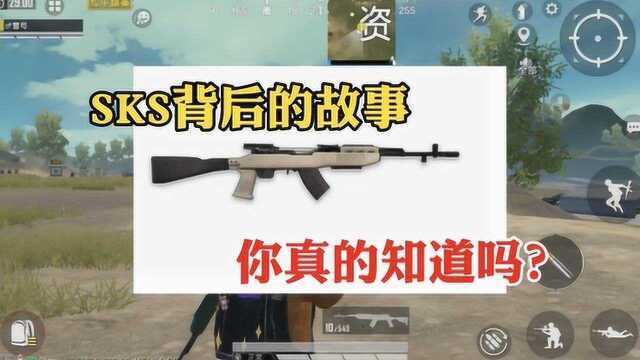 SKS背后的故事你真的知道吗?