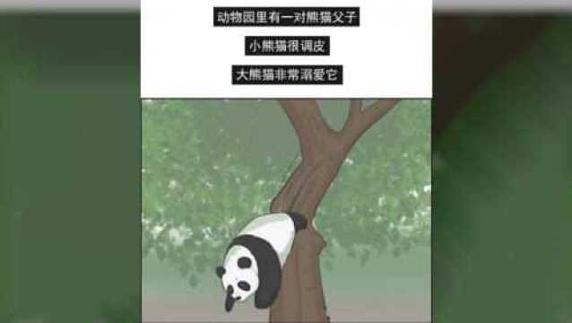 轻松一刻:熊猫爸爸对宝宝百般维护,后来看到了亲子鉴定书