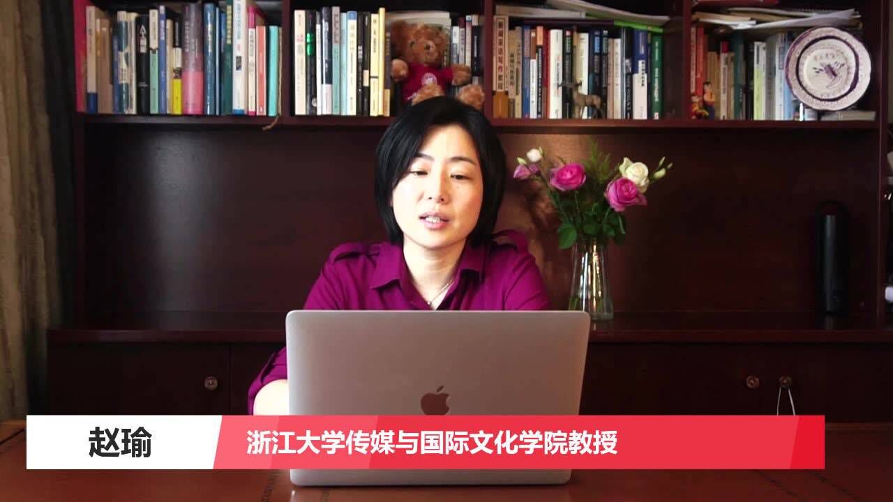 浙江大学传媒与国际文化学院教授赵瑜论文讲解