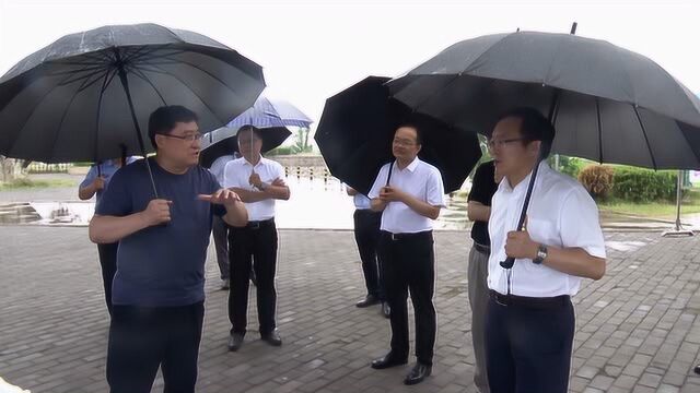 华州区委书记王海峰检查全区防汛备汛工作