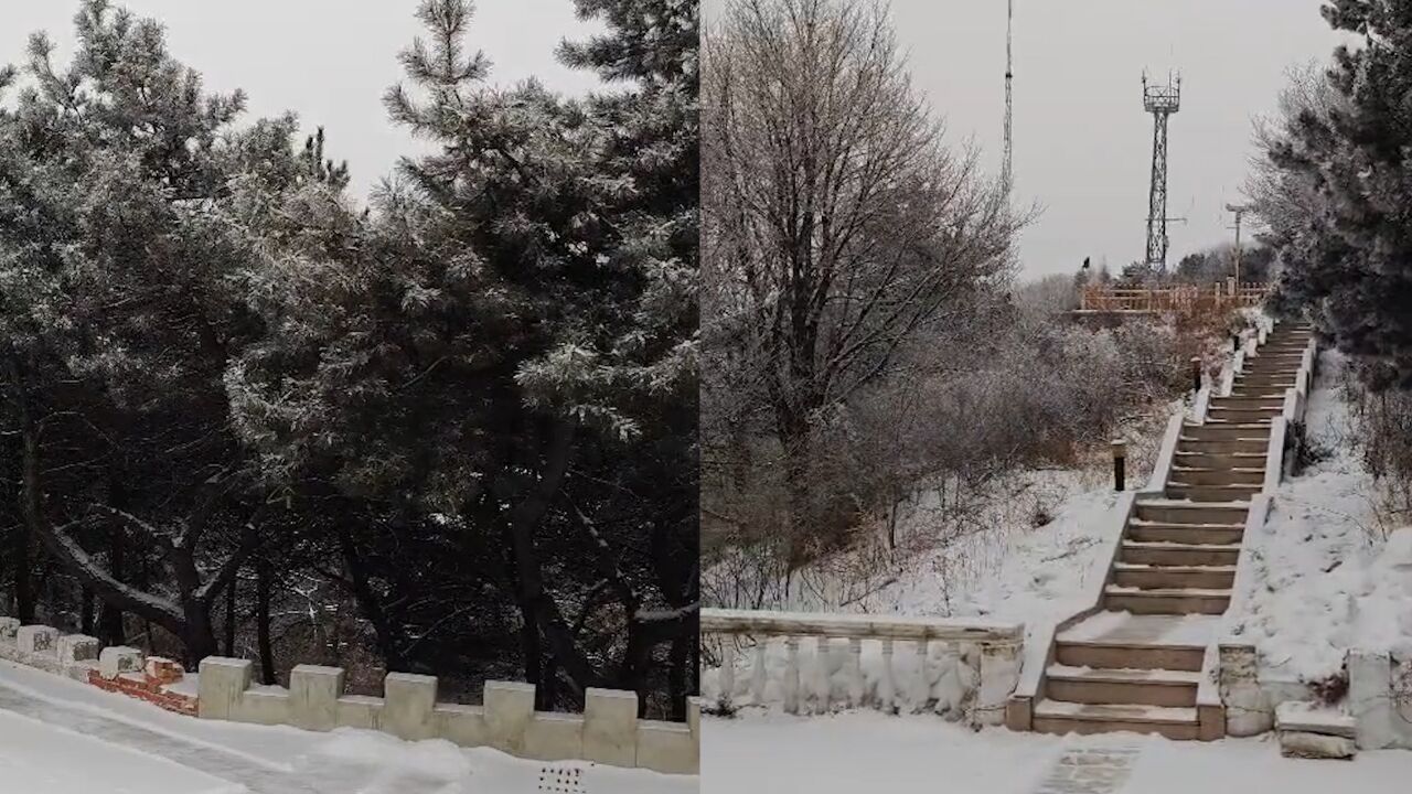 今日大寒 北京多地飘落零星小雪,树木宛如被撒“糖霜”