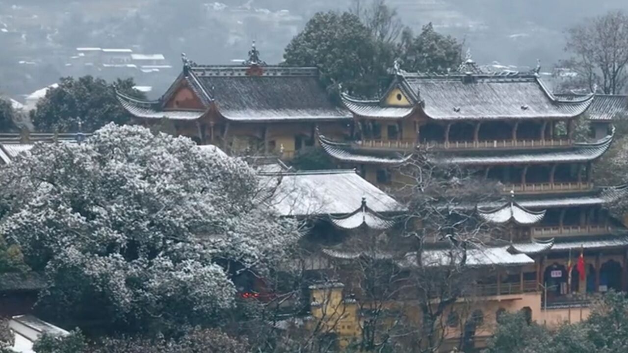 重庆中心城区下雪了!南岸南山上已经白茫茫一片