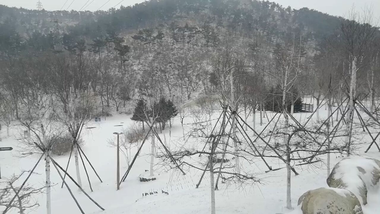 寒风阵阵 雪花飘飘