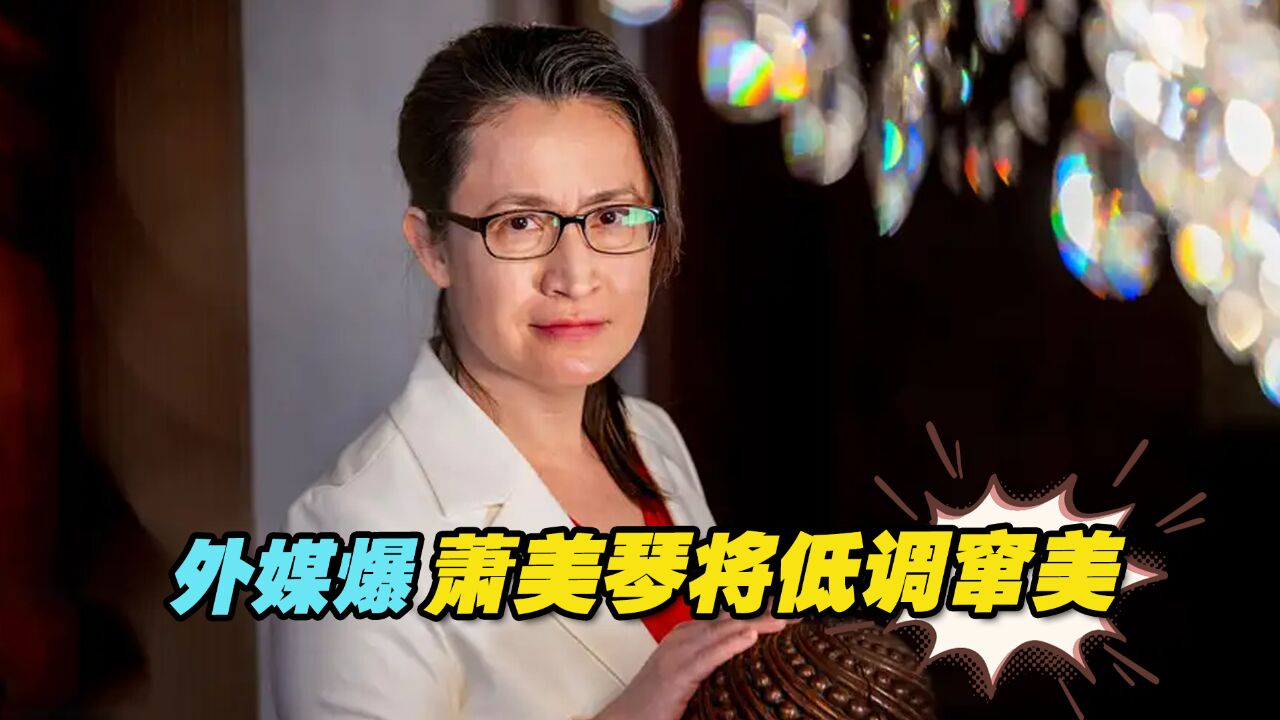 帮赖清德与美方沟通?外媒爆萧美琴将低调窜美