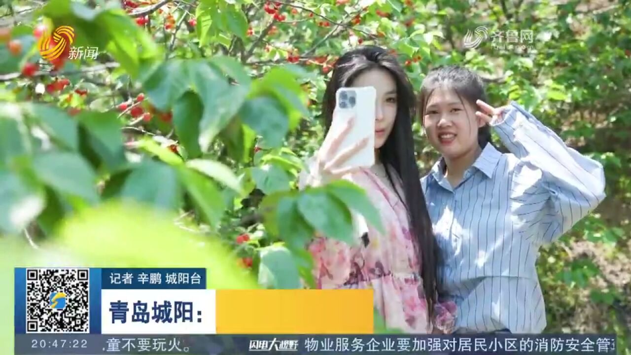 瓜果蔬菜陆续成熟,各地果农菜农们忙着采摘,迎来夏日好“丰”景