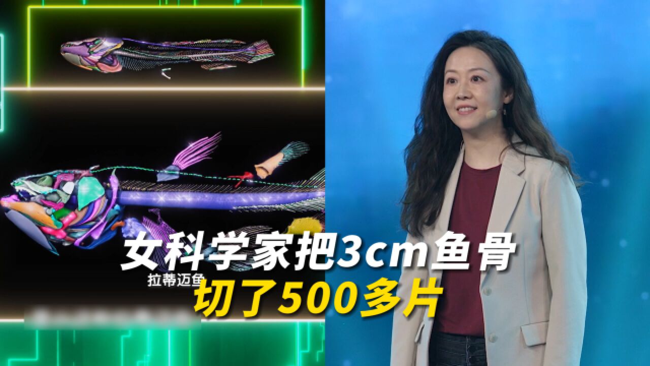 女科学家把3cm鱼骨切了500多片