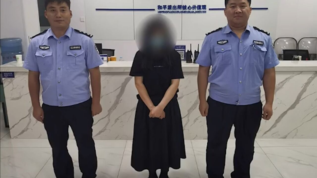 女子与丈夫吵架心情不好,“进货”式盗窃震惊民警:偷了4家店35件商品