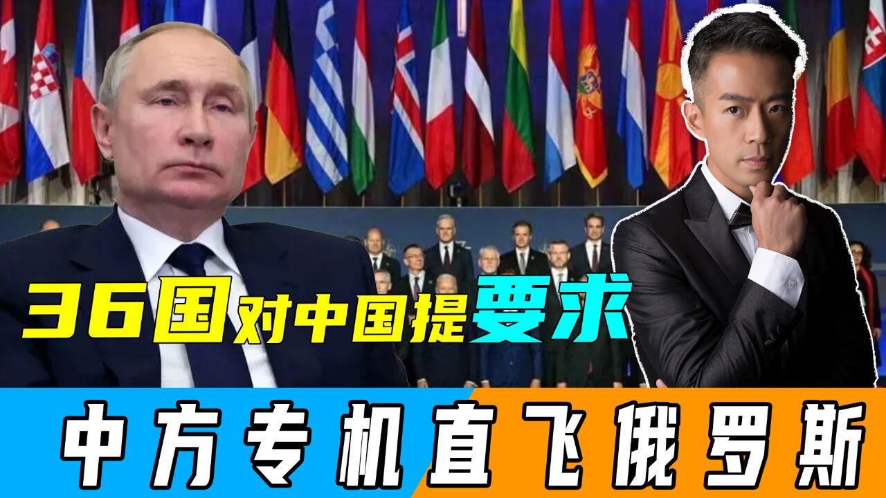 北约峰会举行,面临美国大选不确定性,欧洲国防开支增加等问题