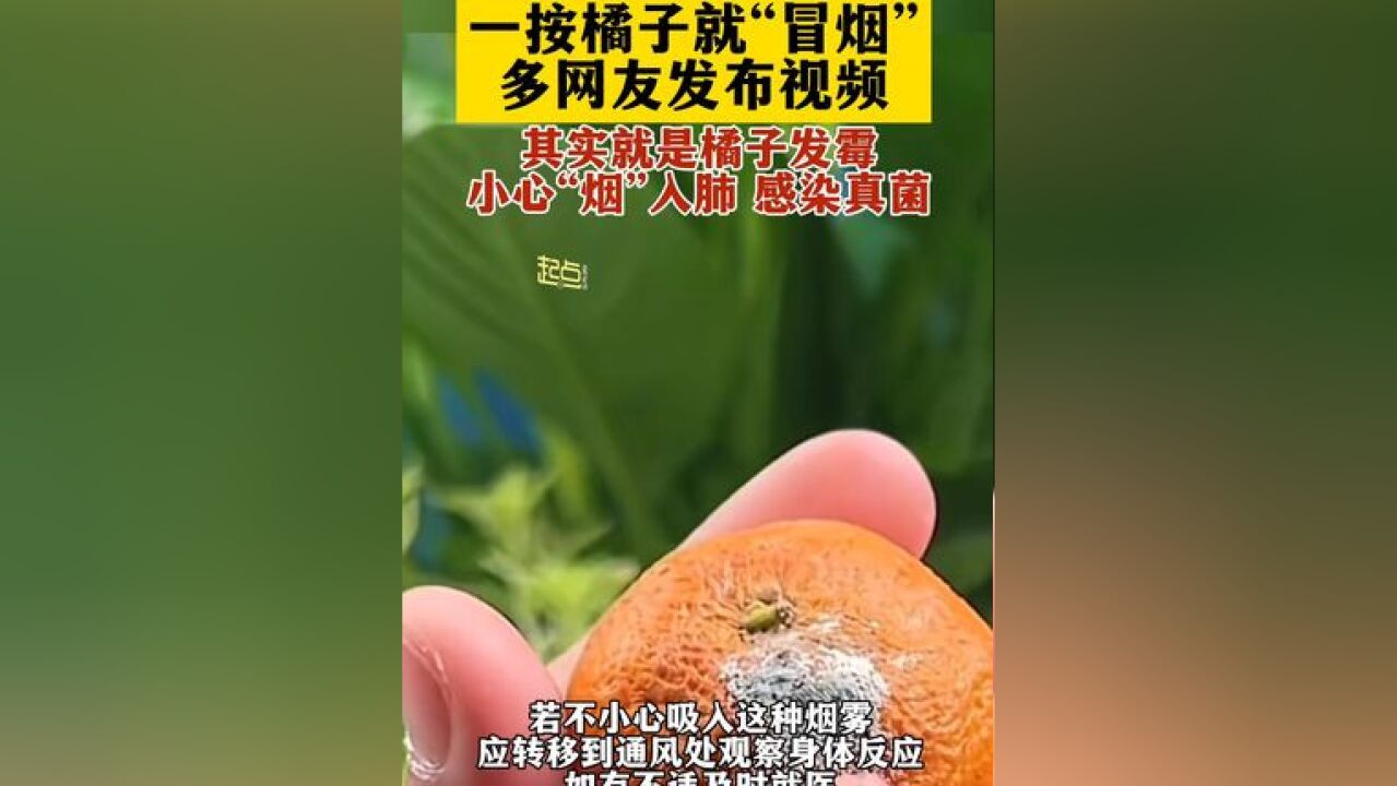 一按橘子就“冒烟”小心霉菌入肺