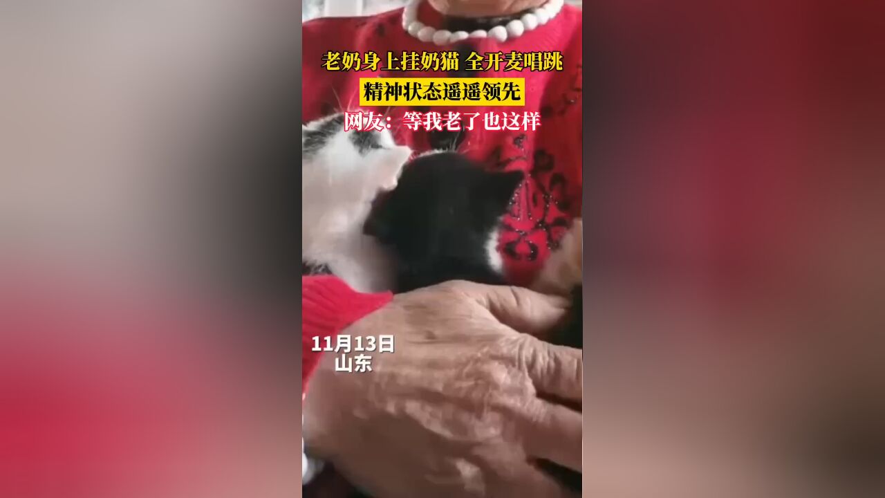 老奶身上挂奶猫 全开麦唱跳