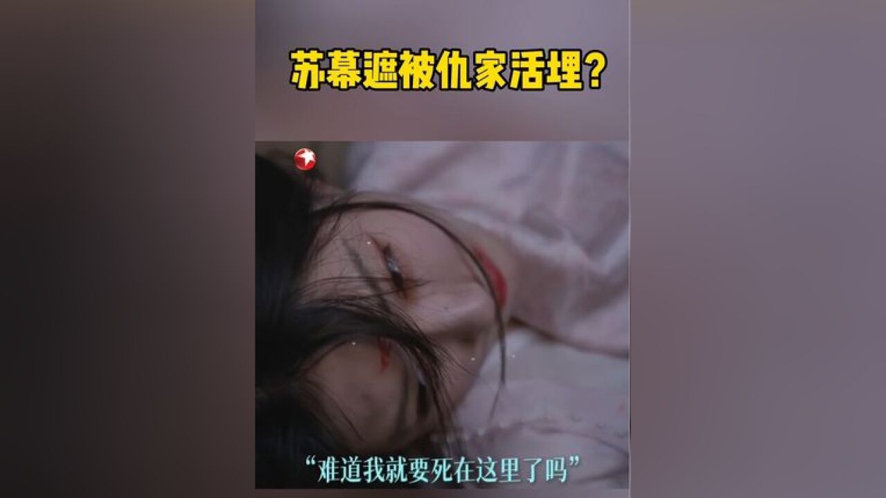 凭什么怪在苏幕遮头上