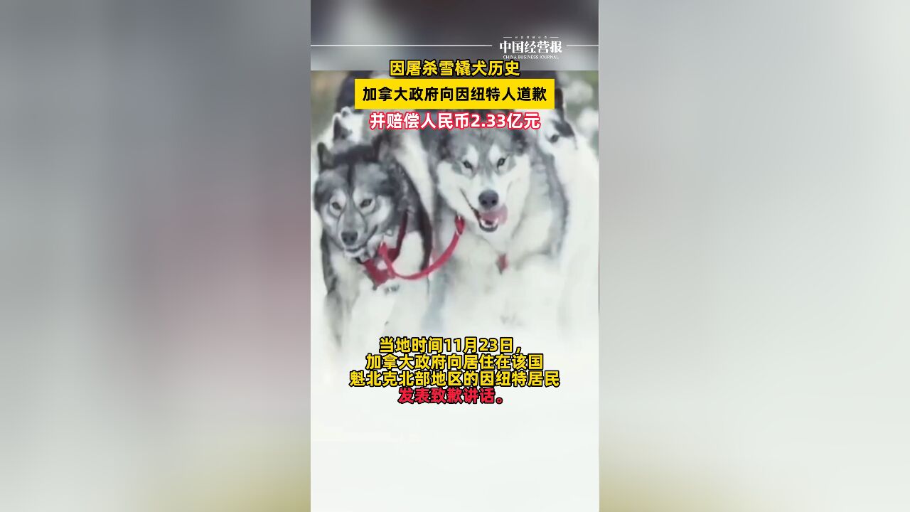 因屠杀雪橇犬历史,加拿大政府道歉并承诺赔偿