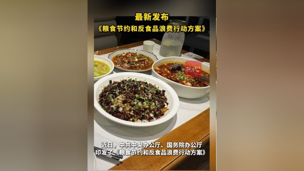 中办、国办印发《粮食节约和反食品浪费行动方案》