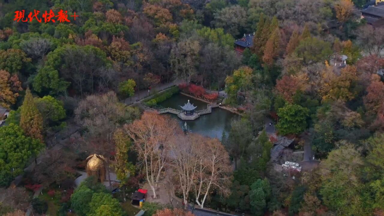 快来看!南京栖霞山打翻了调色盘