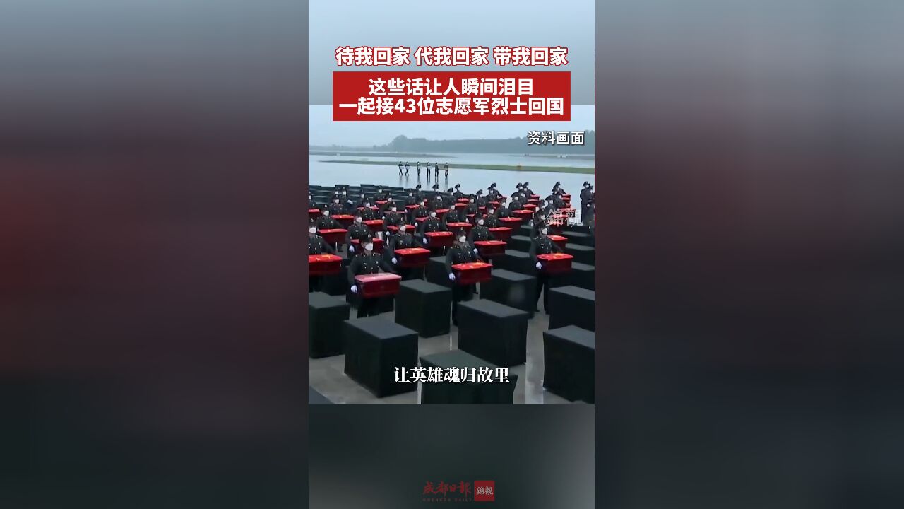 待我回家 代我回家 带我回家